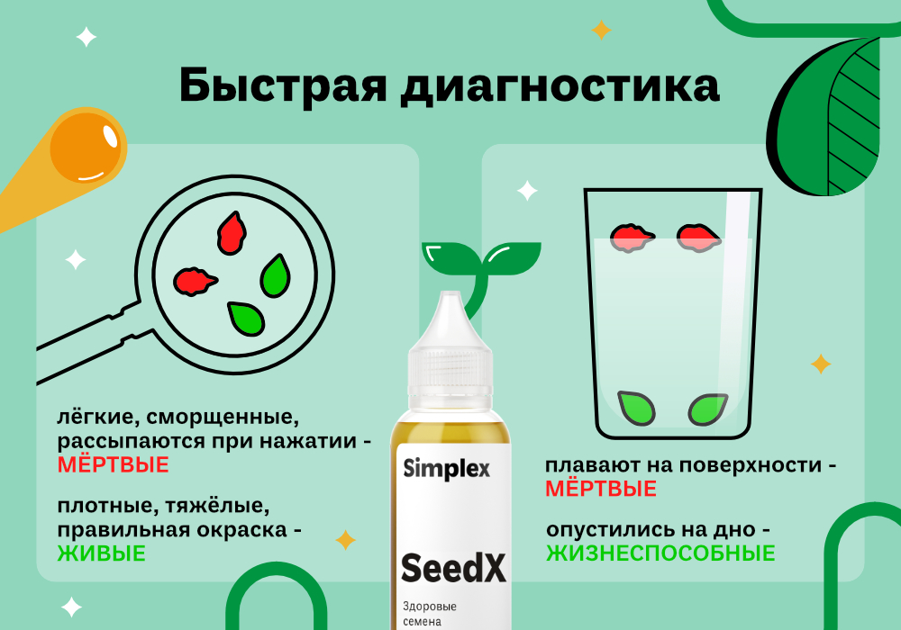 SeedX_Реанимируем_семена_2.jpg