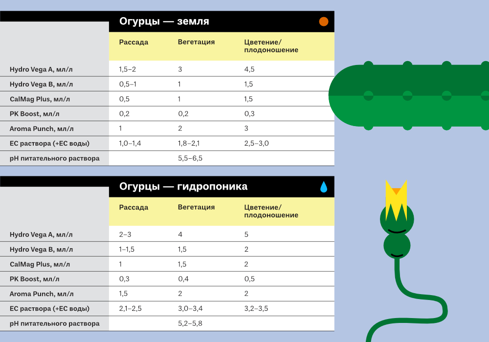 Культуры_симплекс_ОГУРЦЫ_1000x700 (1).jpg