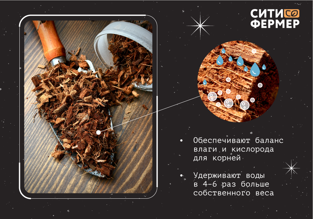 Кокосовые_чипсы_2.png
