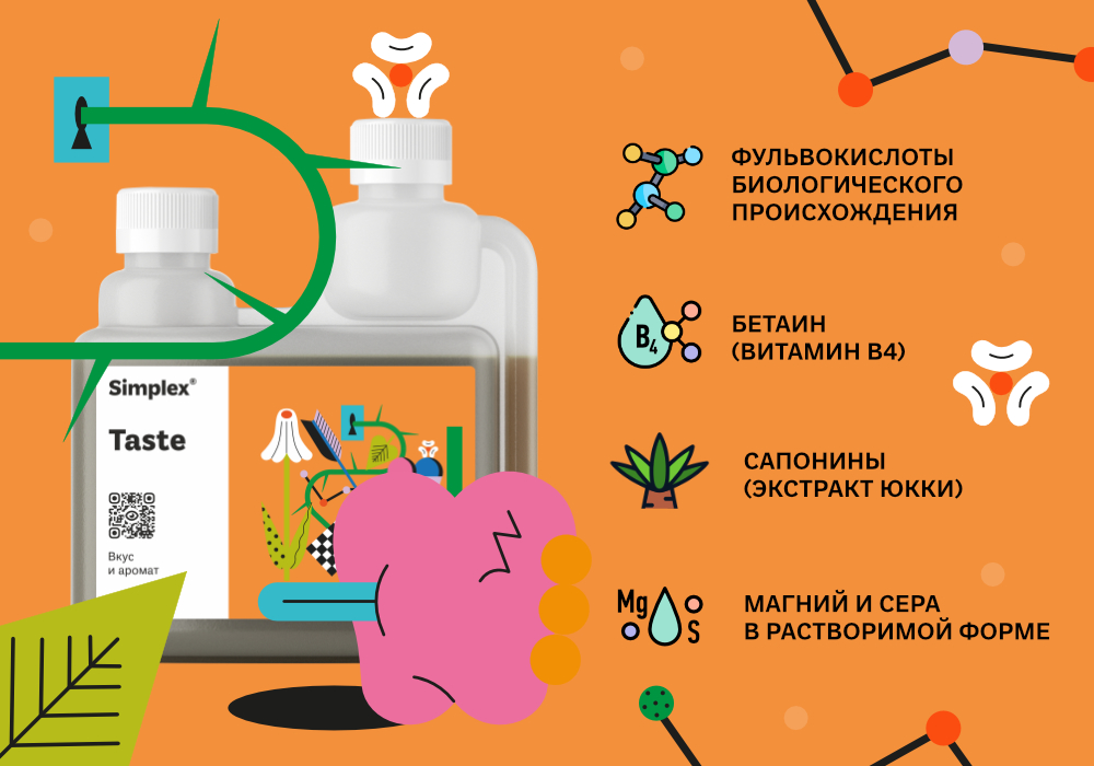 Тейст_4_1000х700.jpg