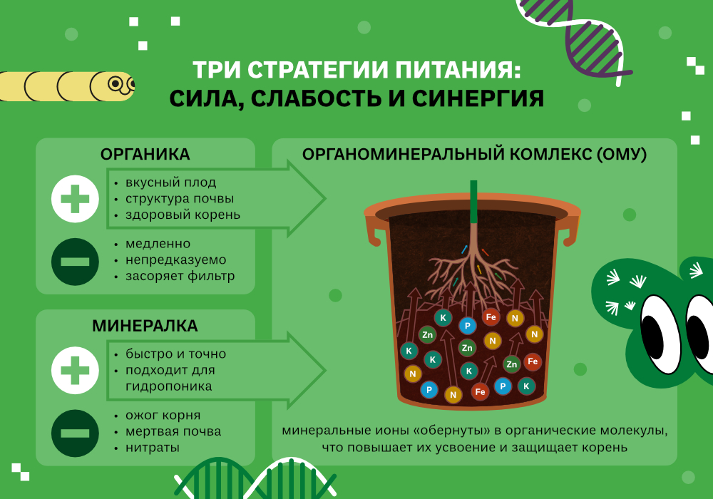 blog_Simplex_ОМУ_от_выбора_к_синергии_5.jpg