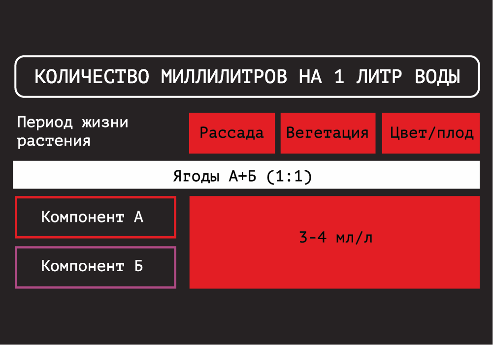 ягоды_1000x700_7 (3).png