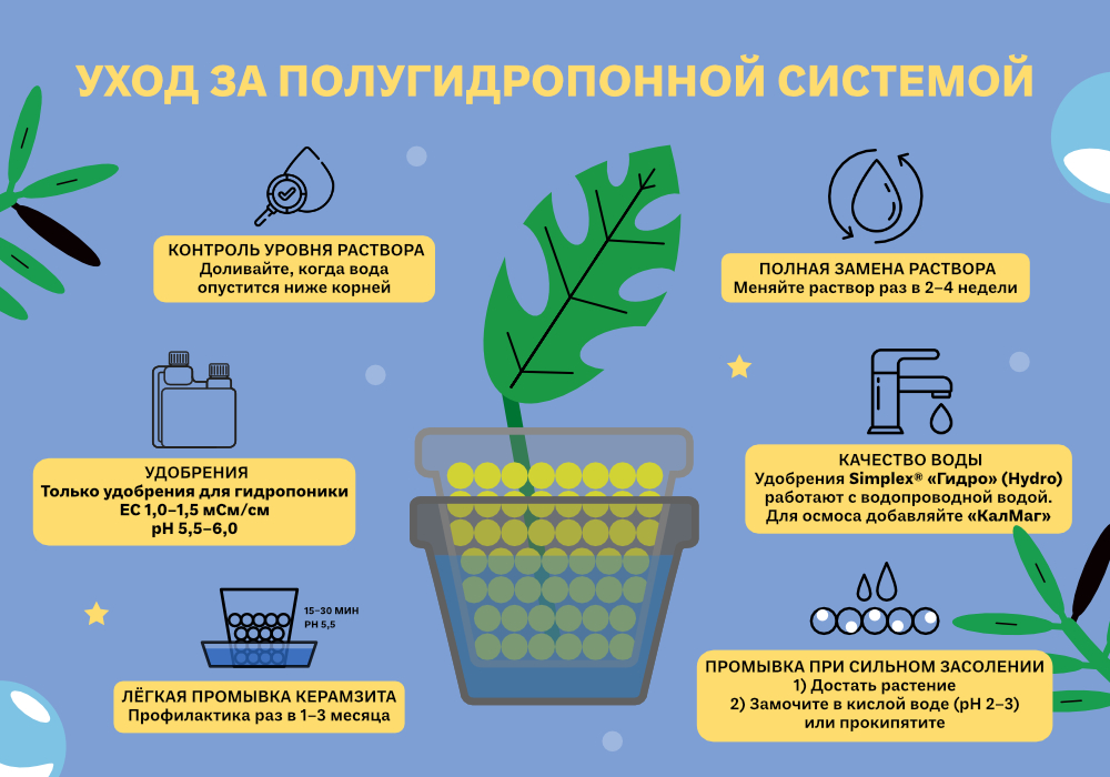 simplex_blog_ФИТИЛЬ_ПОЛУГИДРОПОНИКА_9_1000х700.jpg