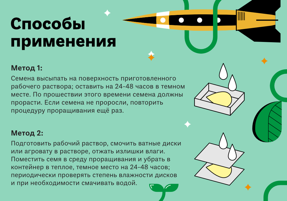SeedX_СТАТЬЯ_3.jpg