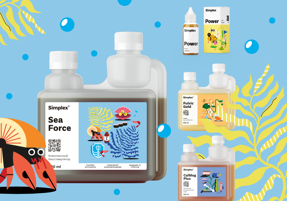 Simplex_Sea-Force_blog8 (1).jpg Simplex_Sea-Force_blog8 (1).jpg