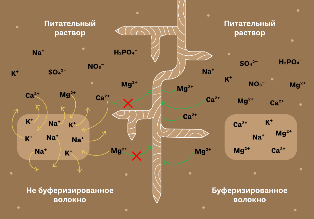 EKO_Кокос_2.jpg EKO_Кокос_2.jpg