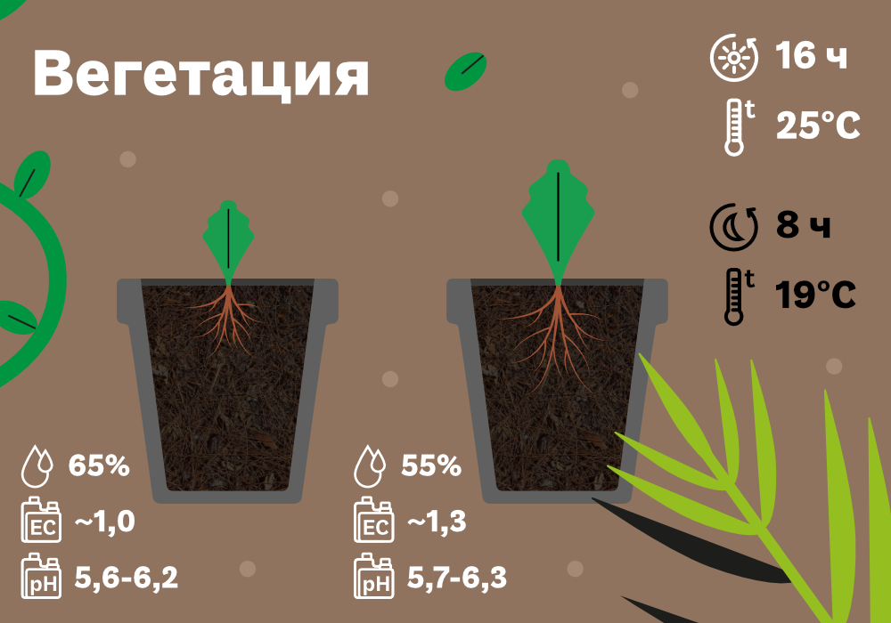 SimplexCoco-метод с дренажом_8 (2) (1).jpg