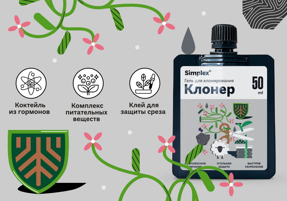 СТАТЬЯ_Simplex_Клонер_2.jpg