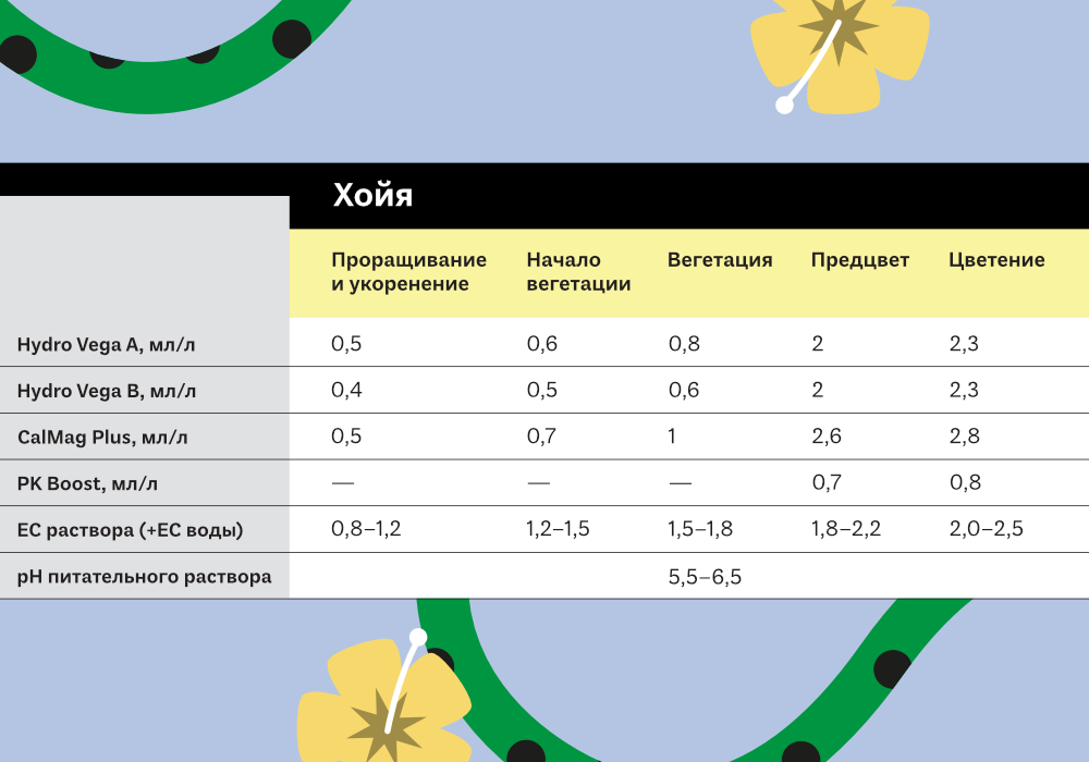 25.ТАБЛИЦЫ ЭКЗОТИКА2.jpg