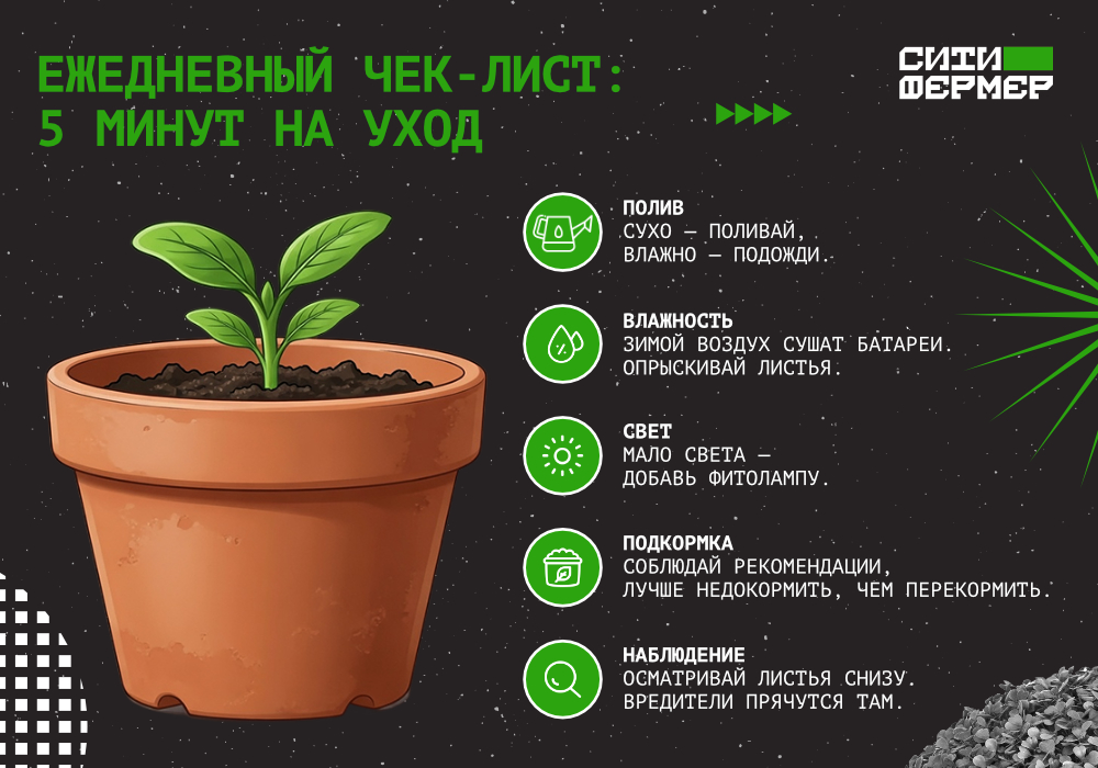 СИТИФЕРМЕР_blog_Домашний огород_5.jpg